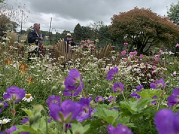 Tavistock Sensory Garden