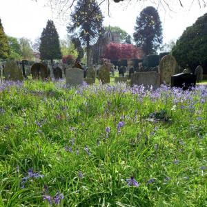 Plymouth Road Cemetery