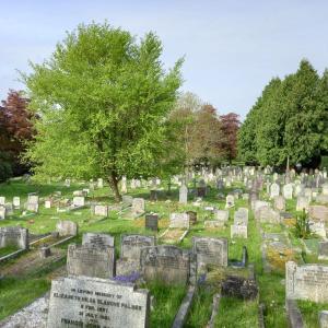Plymouth Road Cemetery 