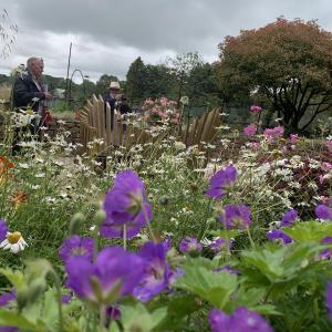 SW in Bloom Judging 2021 Sensory Garden