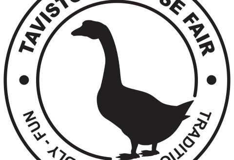 Goose Fair Logo