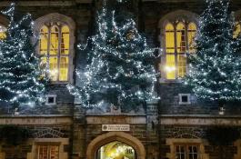 Trees of Light Tavistock Town Hall