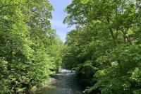 River Tavy from the footbridge