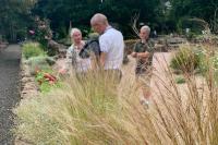 SW in Bloom Sensory Garden Grasses