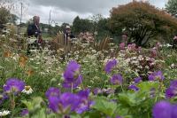 Tavistock Sensory Garden