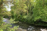 The River Tavy