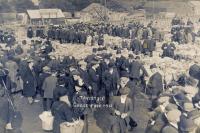 The Livestock Market - Tavistock Goose Fair 1912
