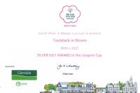 Tavistock in Bloom Certificate for Silver Gilt Award