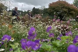 Tavistock Sensory Garden