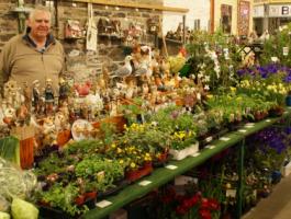 Graham's Plants