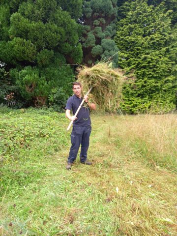 Hay collection - Annual Scythe August 2023  