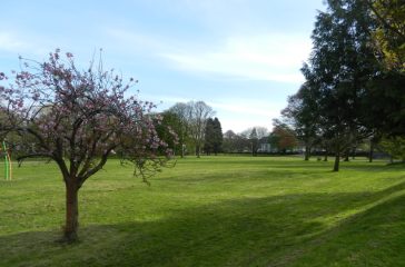 The Meadows