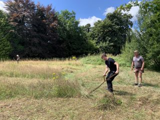 Scything in action 