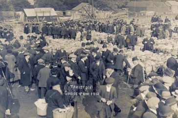 The Livestock Market - Tavistock Goose Fair 1912