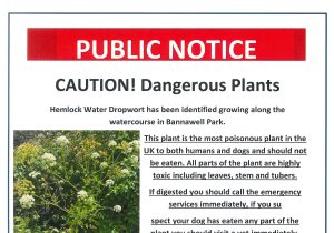 Public Notice